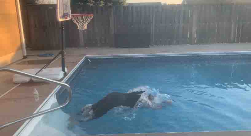 Kooima swimming